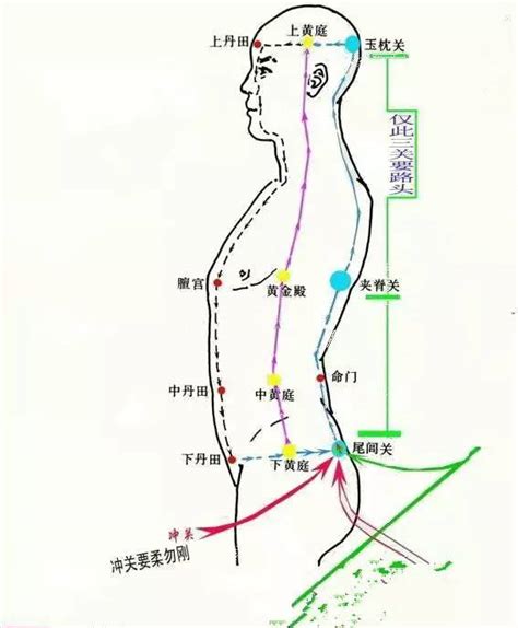 玄关穴|道家内丹之玄关一窍,玄关一窍的位置